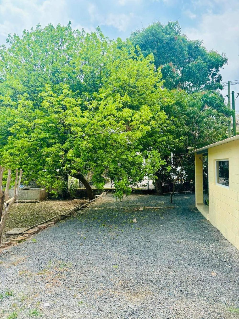 Hostal Camila'S Tamanique エクステリア 写真