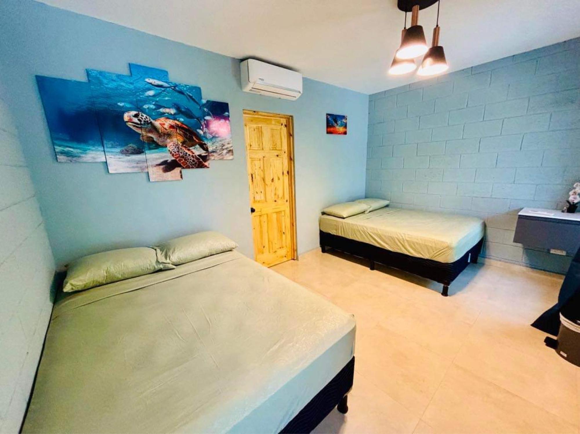 Hostal Camila'S Tamanique エクステリア 写真