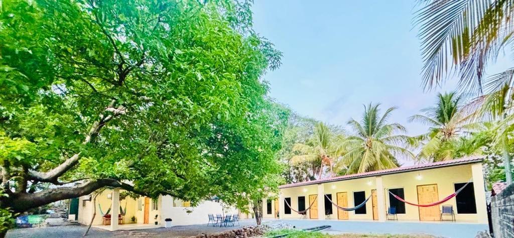 Hostal Camila'S Tamanique エクステリア 写真